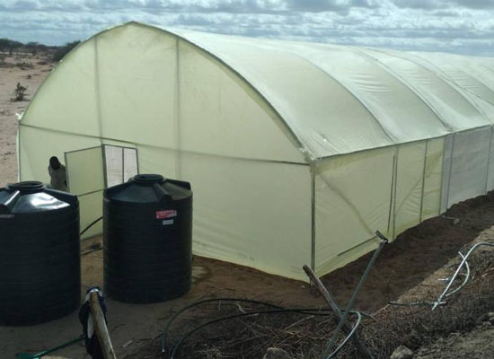 Get Affordable Greenhouse in Kenya