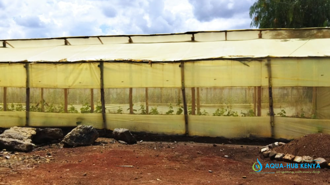 Greenhouses made of treated Poles