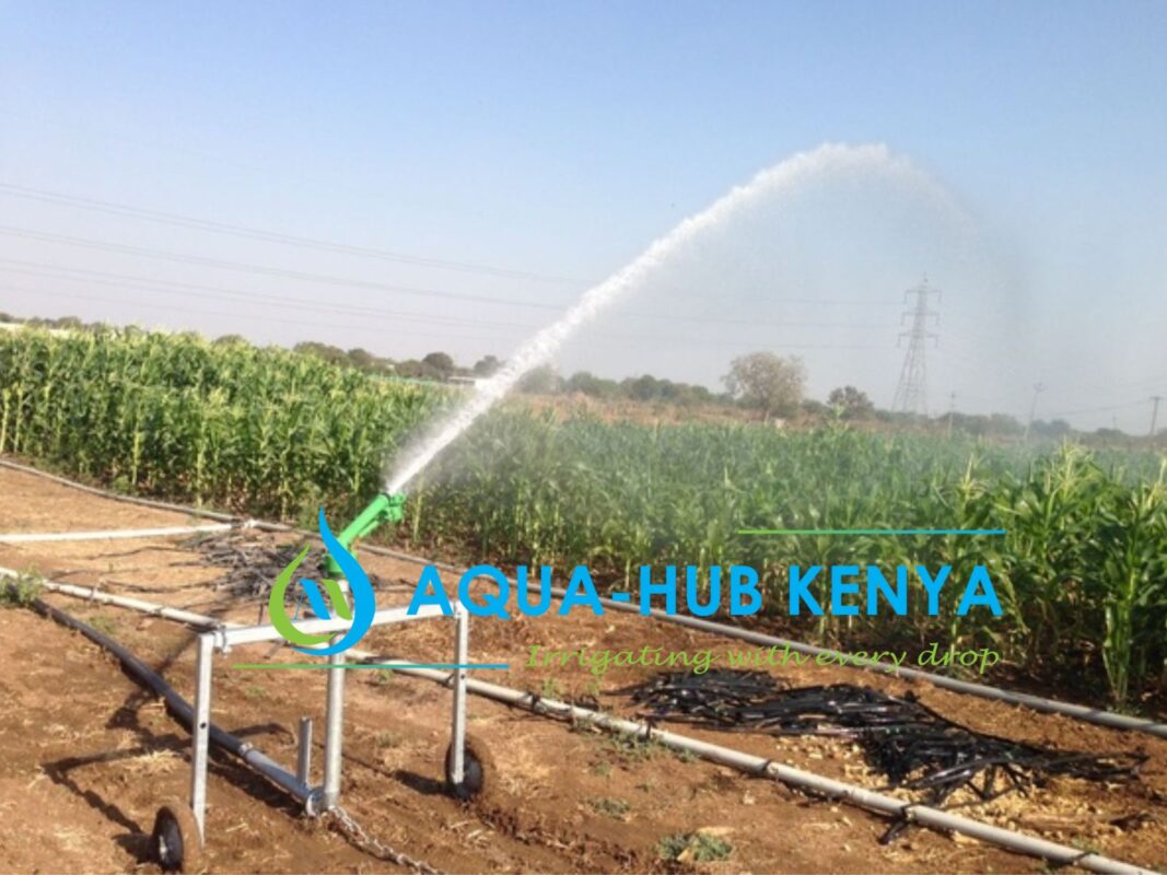Rain Gun Sprinkler Prices in Kenya